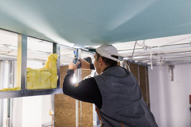Best Commercial Insulation in Ramtown, NJ