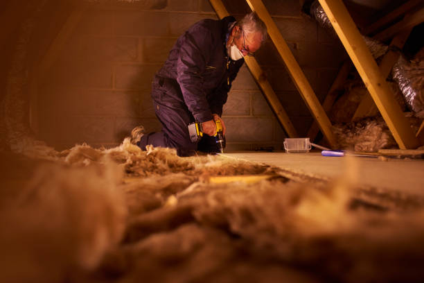 Best Insulation Installation Services in Ramtown, NJ