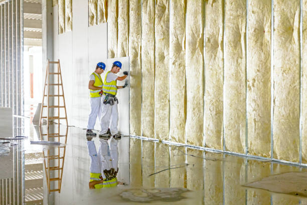 Best Insulation Maintenance and Repair in Ramtown, NJ